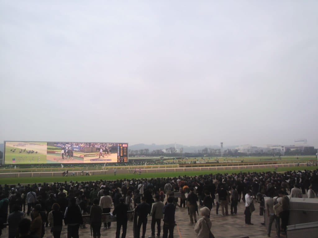 【皐月賞2016予想】天気が崩れたら危なそうな馬、走りそうな馬