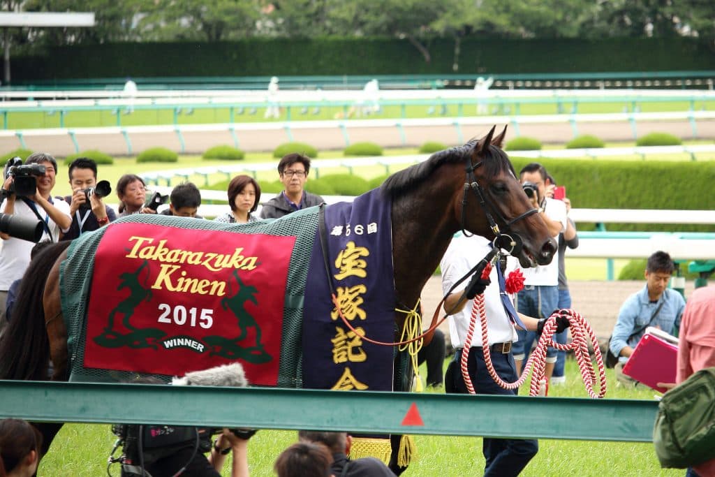 G1谷間の週に香港で日本馬3頭がクイーンエリザベス2世Cへ出走！