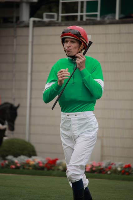 【天皇賞春2016予想】フェイムゲーム三度目の正直なるか？ボウマン騎手の腕に期待