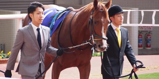 【皐月賞2016予想】エアスピネルの勝負付けは済んだのか？