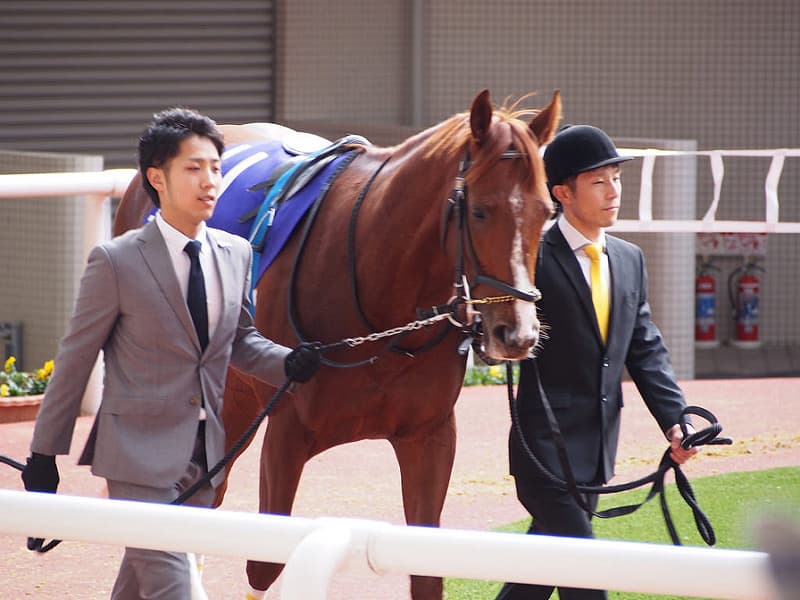 【皐月賞2016予想】エアスピネルの勝負付けは済んだのか？