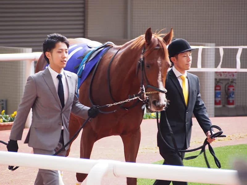 【皐月賞2016予想】エアスピネルの勝負付けは済んだのか？