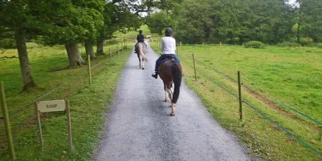 【フローラS2016回顧】チェッキーノ圧勝オークスも見えた！