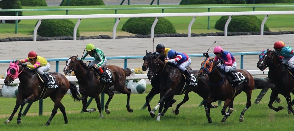 【天皇賞春2016予想】枠順から見る・ゴールドアクターとサウンズオブアースの危険度