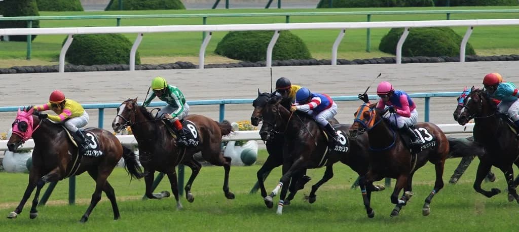 【天皇賞春2016予想】枠順から見る・ゴールドアクターとサウンズオブアースの危険度