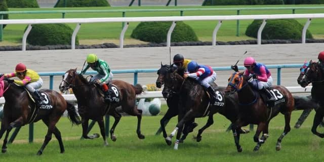 【天皇賞春2016予想】枠順から見る・ゴールドアクターとサウンズオブアースの危険度