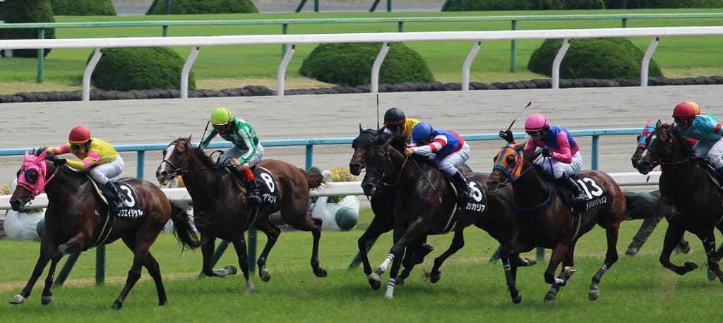 【天皇賞春2016予想】枠順から見る・ゴールドアクターとサウンズオブアースの危険度