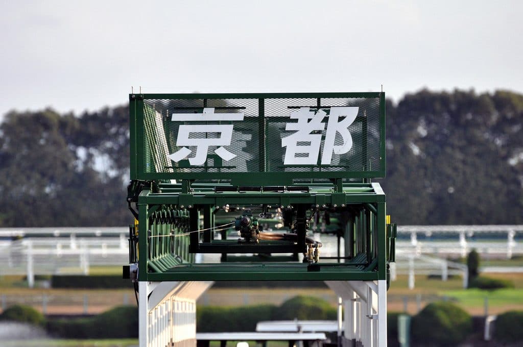 【京都牝馬S予想2017】京都巧者のエテルナミノル、得意舞台で本領発揮だ！