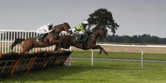 【忘れな草賞2016予想】桜花賞を一足飛ばしのオークス馬先取り情報