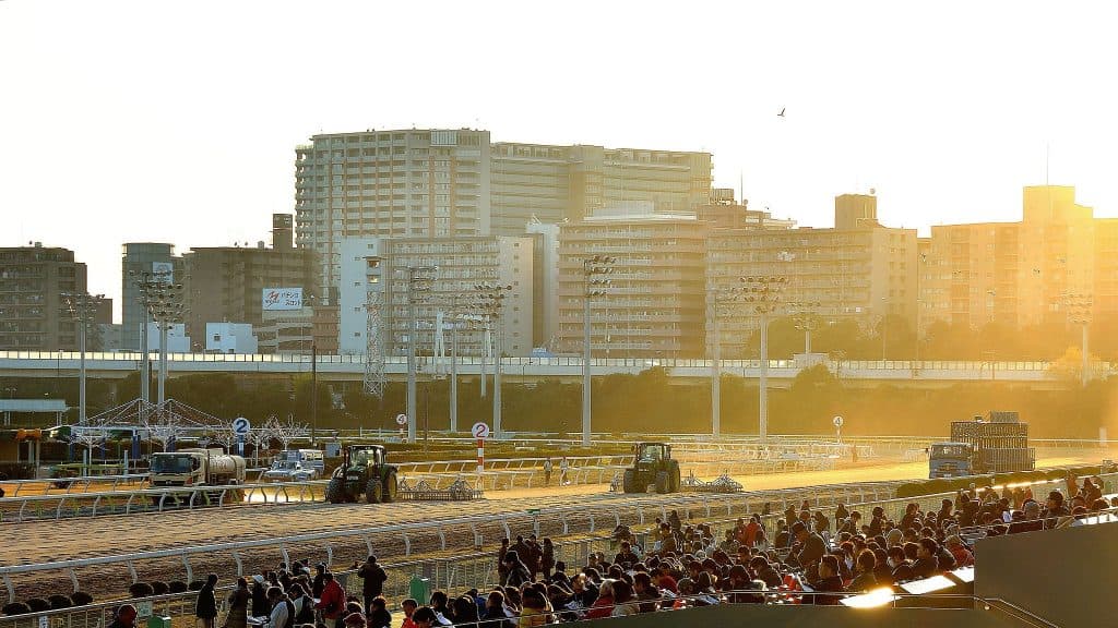 大井競馬場初の左回りレース、名称は「Make New Way賞」