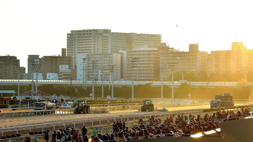 【羽田盃2017注目馬】移籍後絶好調クラキングスが2強に並び立つか