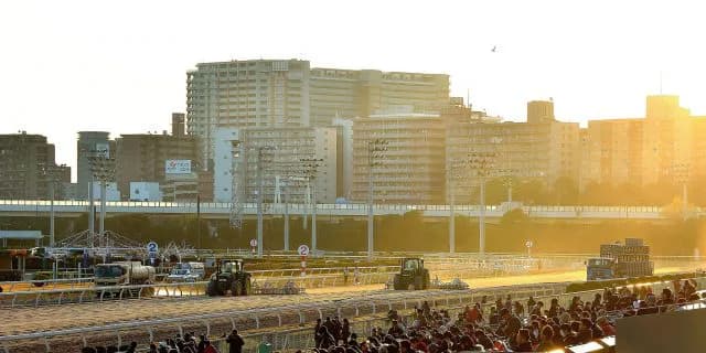 【羽田盃2017注目馬】移籍後絶好調クラキングスが2強に並び立つか