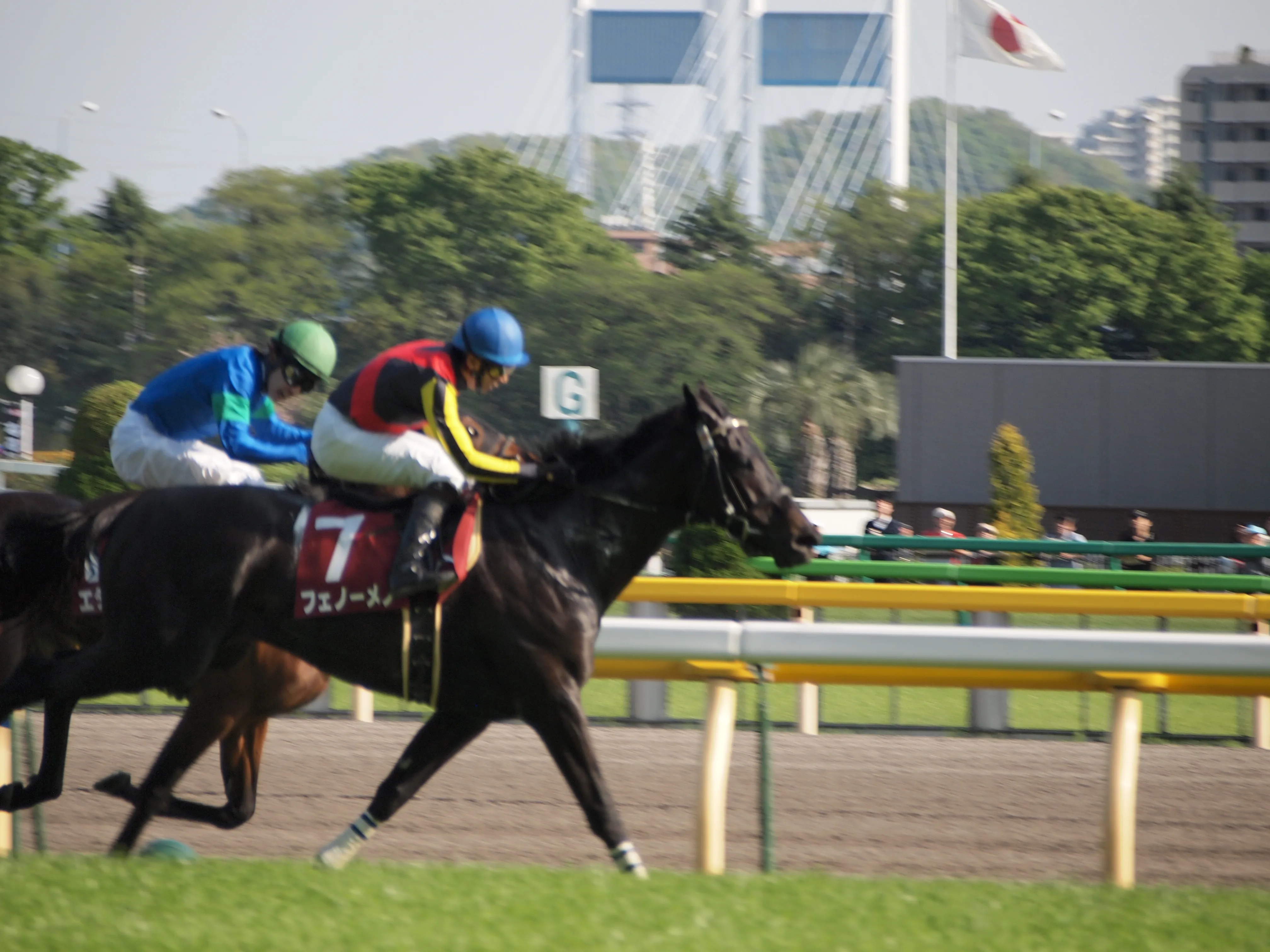 謎の天皇賞馬マメチン
