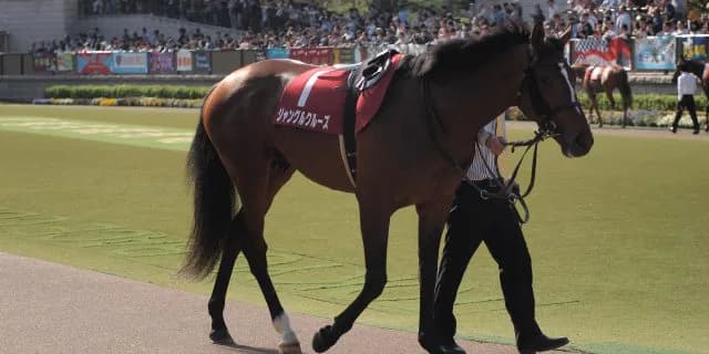 【4月23日（土）メトロポリタンS注目馬】人気のジャングルクルーズを抑えて条件ベストで見直せるモンドインテロ