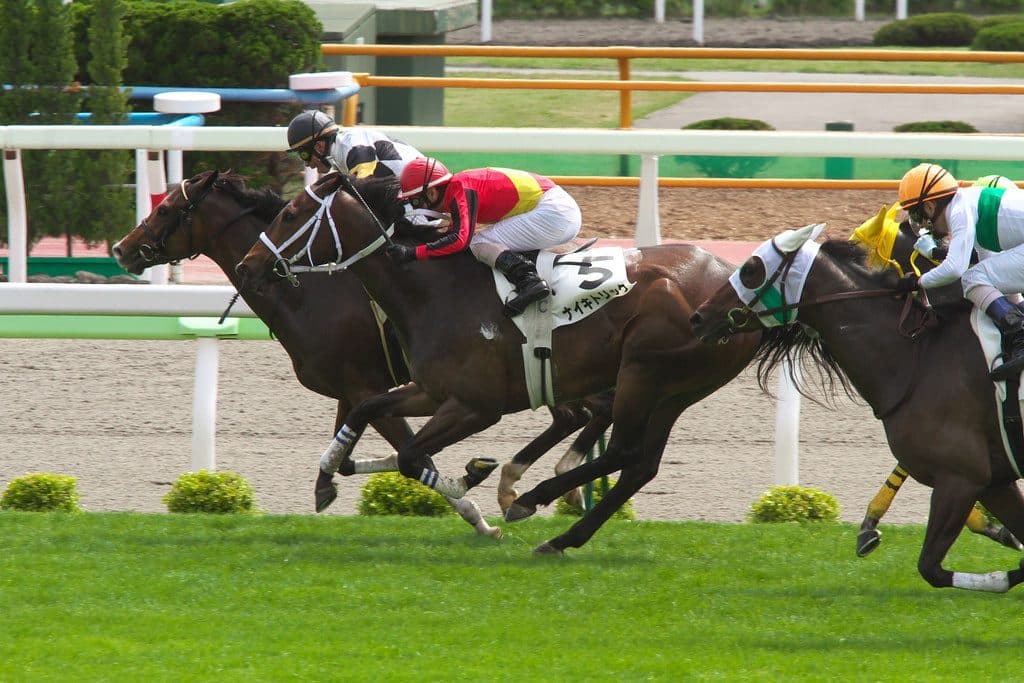 【阪神牝馬S予想2016】帰ってきたストレイトガール、本当にまだ走れるのか？