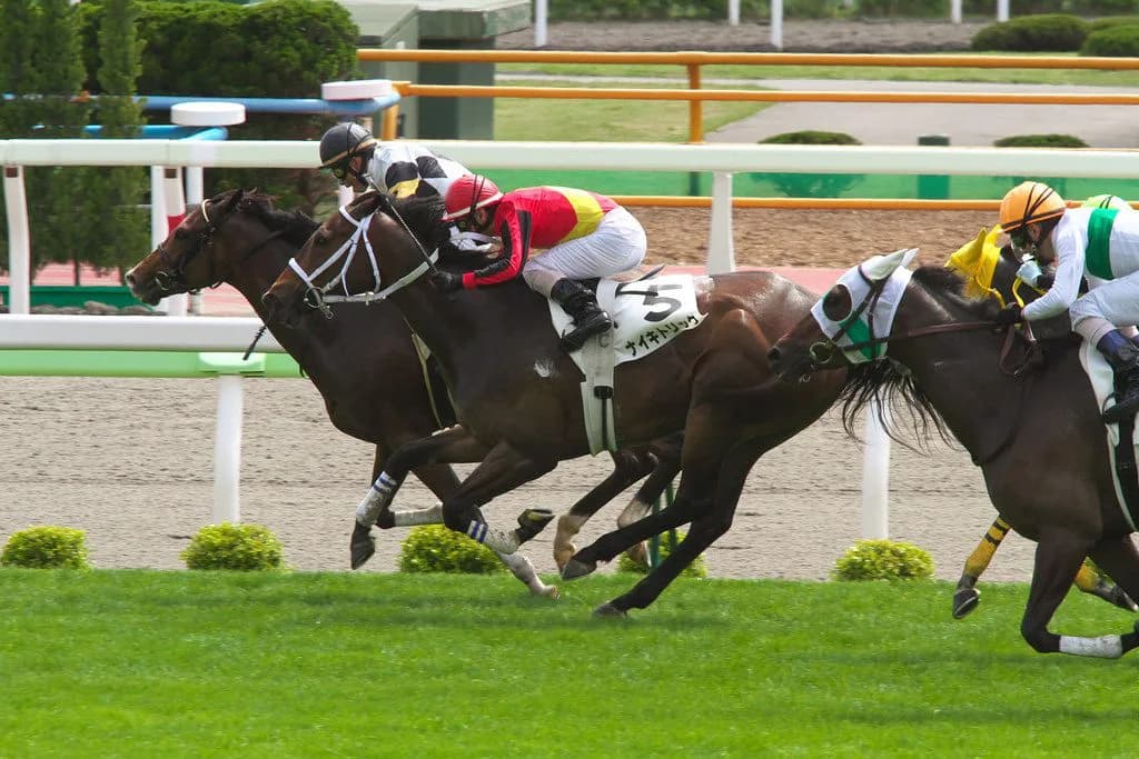 【阪神牝馬S予想2016】帰ってきたストレイトガール、本当にまだ走れるのか？