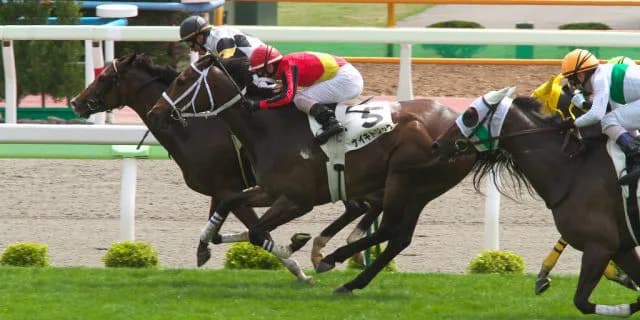 【阪神牝馬S予想2016】帰ってきたストレイトガール、本当にまだ走れるのか？