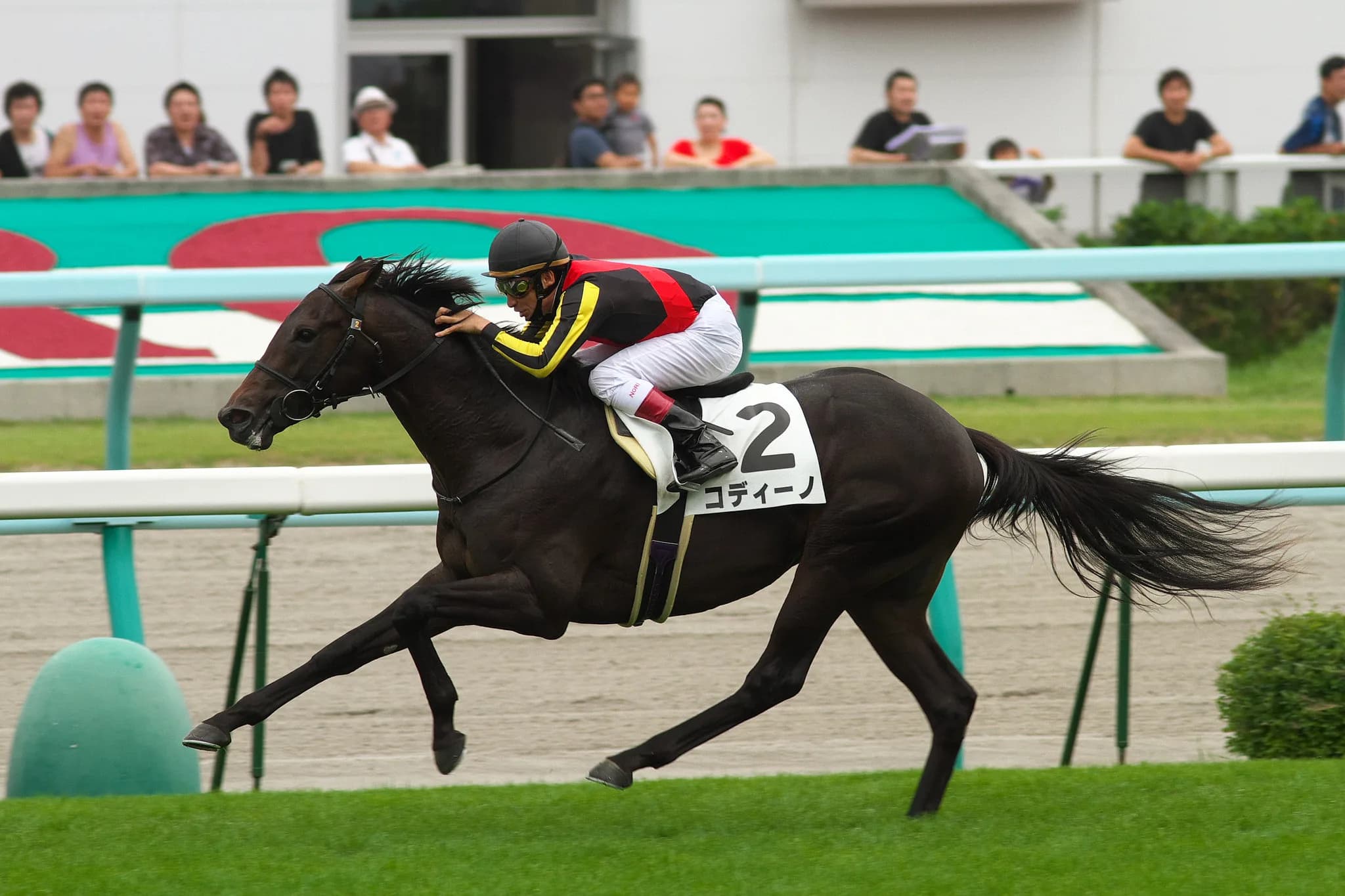 オークス2着馬チェッキーノ2年ぶりに始動