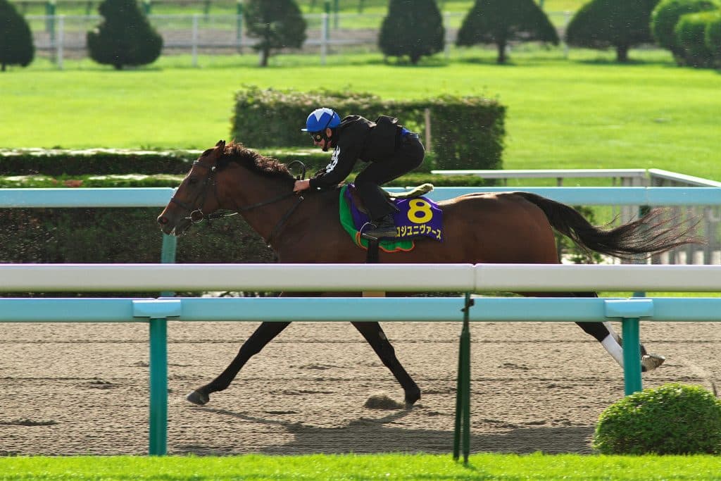 【共同通信杯2019予想】調教・最終追い切りが高評価の馬トップ3