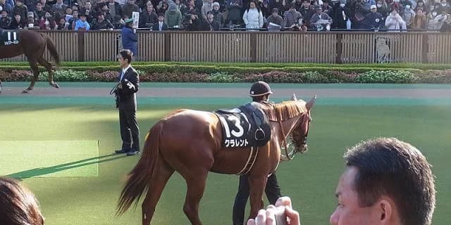 【マイラーズC予想2016】京都マイルで一変に期待！クラレントとレッドアリオン兄弟の復活劇あるか？！