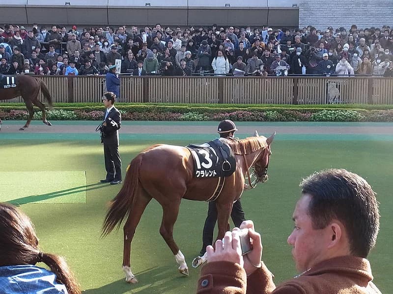 【マイラーズC予想2016】京都マイルで一変に期待！クラレントとレッドアリオン兄弟の復活劇あるか？！