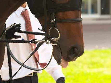 【アンタレスS予想2016】ローマンレジェンド、昨年の雪辱を