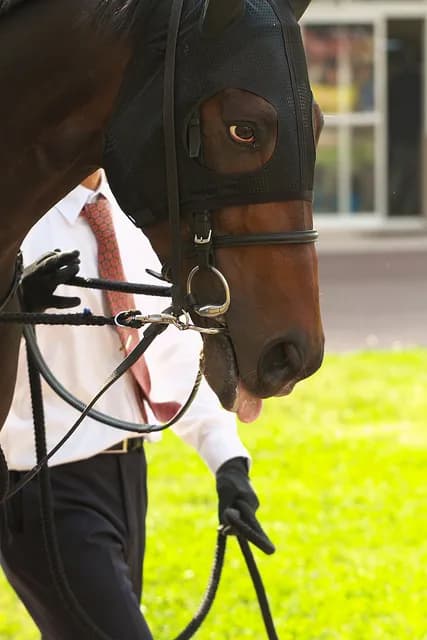 【アンタレスS予想2016】ローマンレジェンド、昨年の雪辱を