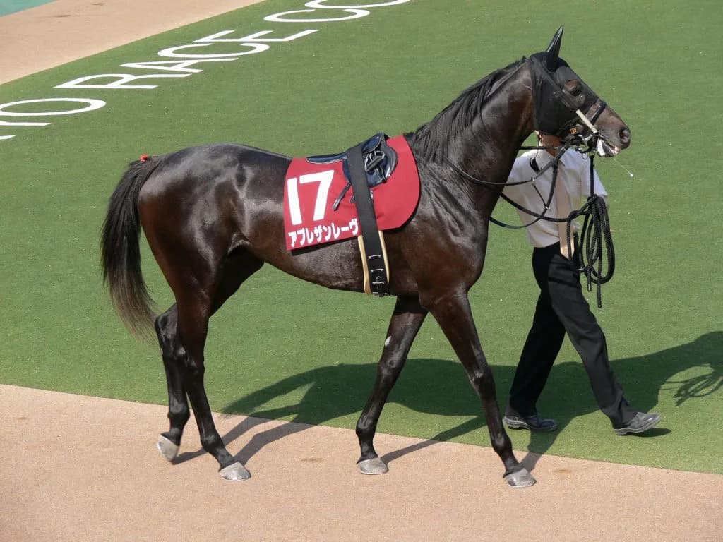 【青葉賞2016予想】レーヴドスカー産駒の出走勝率100%という事実