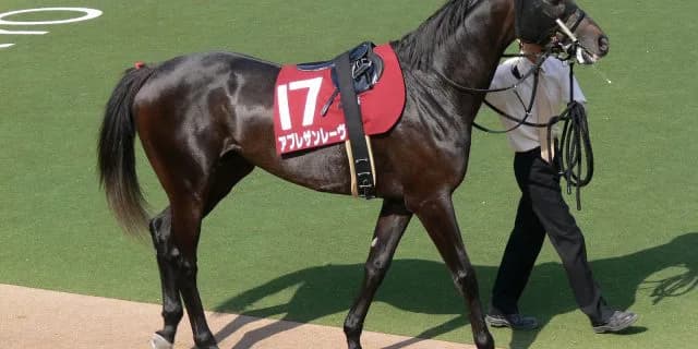 【青葉賞2016予想】レーヴドスカー産駒の出走勝率100%という事実