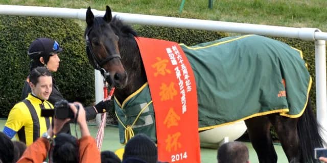 エキストラエンド現役引退、海外種牡馬入りは破談に