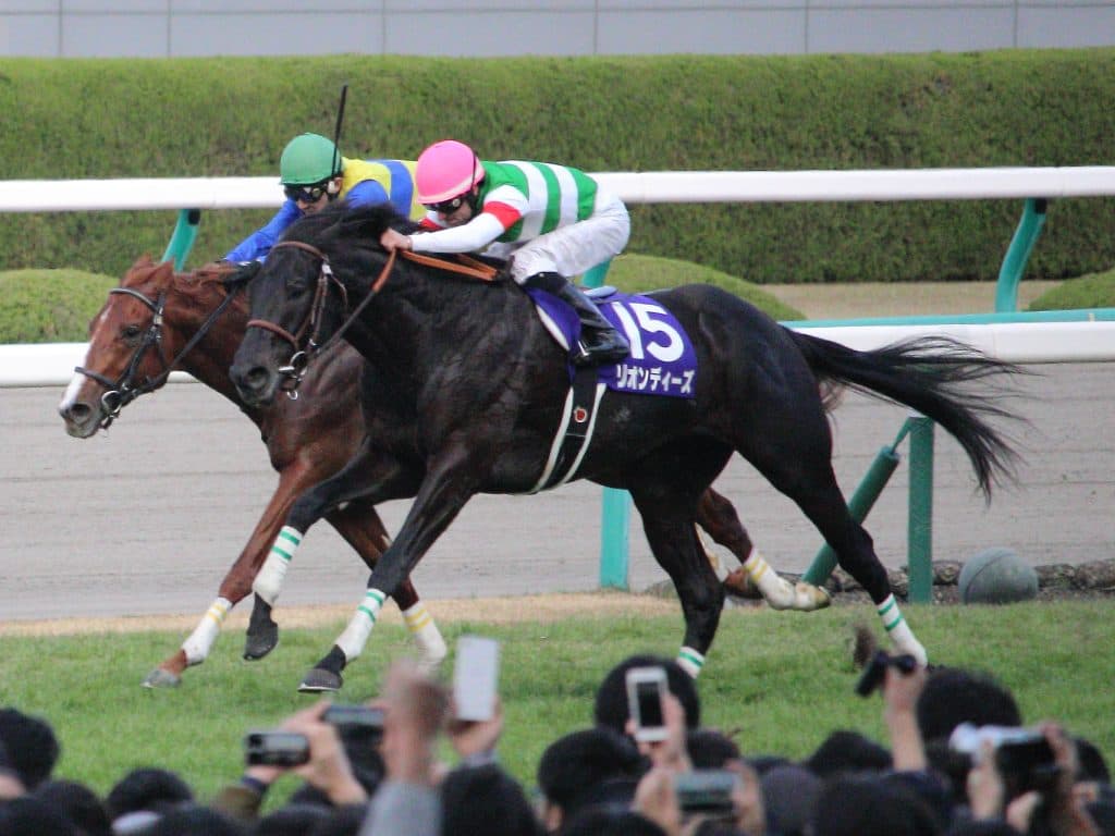 キングカメハメハの後継種牡馬は大物候補多数？