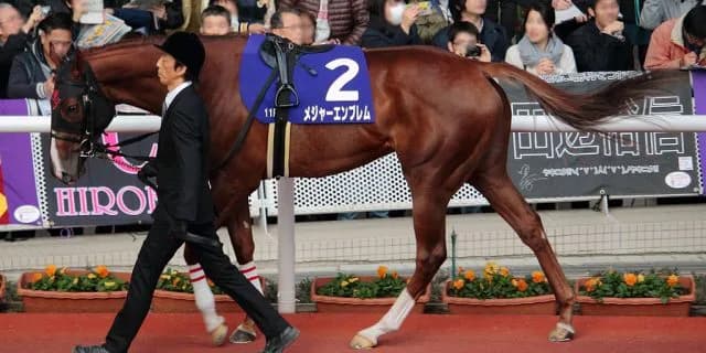 【桜花賞2016有力馬】三冠の期待かかるメジャーエンブレムの初戦やいかに