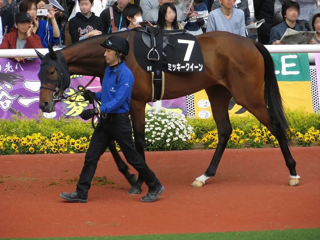 ヴィクトリアマイル1週前先取り予想。昨年のような大波乱は起きない