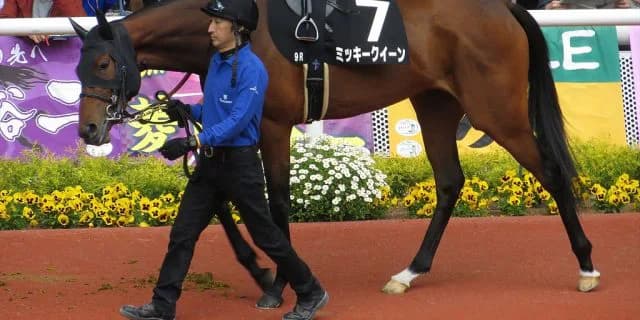 ヴィクトリアマイル1週前先取り予想。昨年のような大波乱は起きない