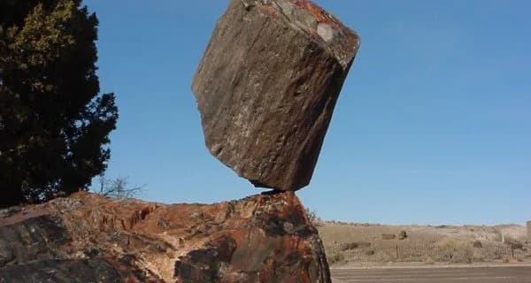 【桜花賞2016注目馬】アットザシーサイドが安定した成績を武器に上位を狙う！