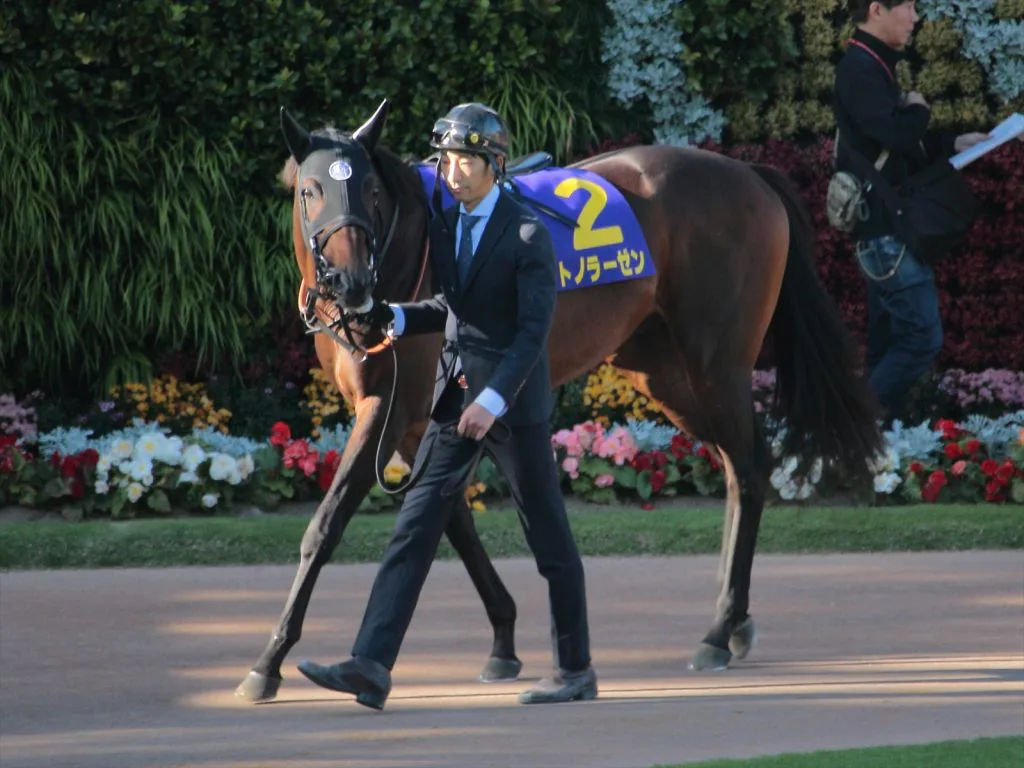 サトノラーゼン、オーストラリアへ移籍が決定