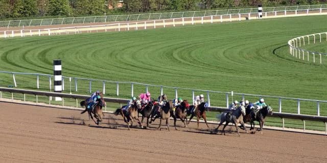 【ニュージーランドT2016回顧】コンマ1秒以内に5頭ひしめく大混戦制したのはダンツプリウス