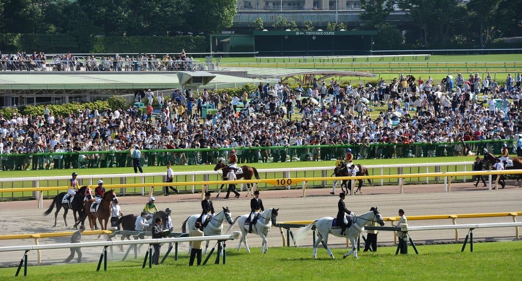 【青葉賞2016予想】ここがベスト舞台！メートルダールに注目