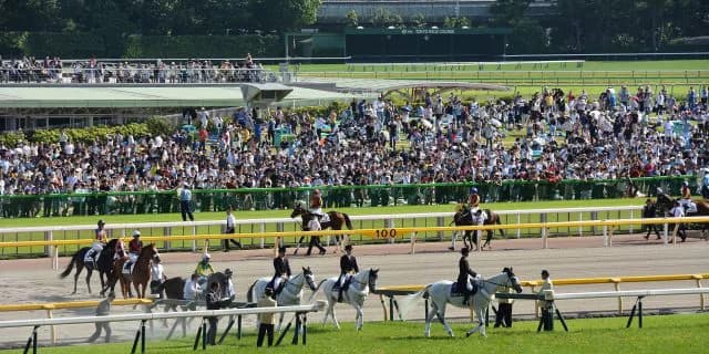 【青葉賞2016予想】ここがベスト舞台！メートルダールに注目