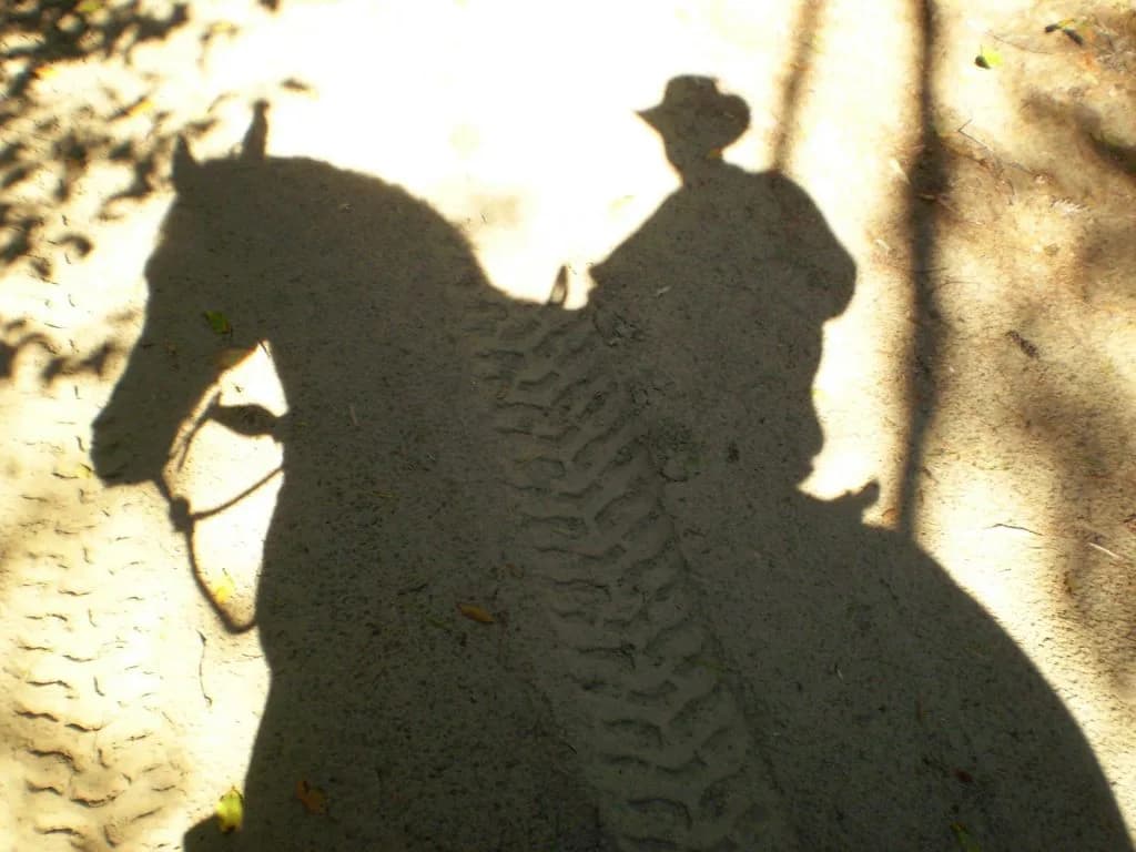 名だたる騎手も乗りあぐねるヘイジームーンを唯一乗りこなす騎手とは？