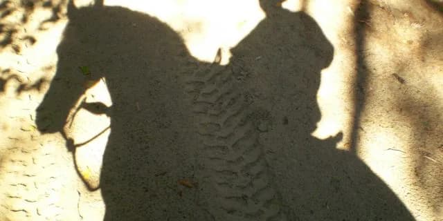 名だたる騎手も乗りあぐねるヘイジームーンを唯一乗りこなす騎手とは？