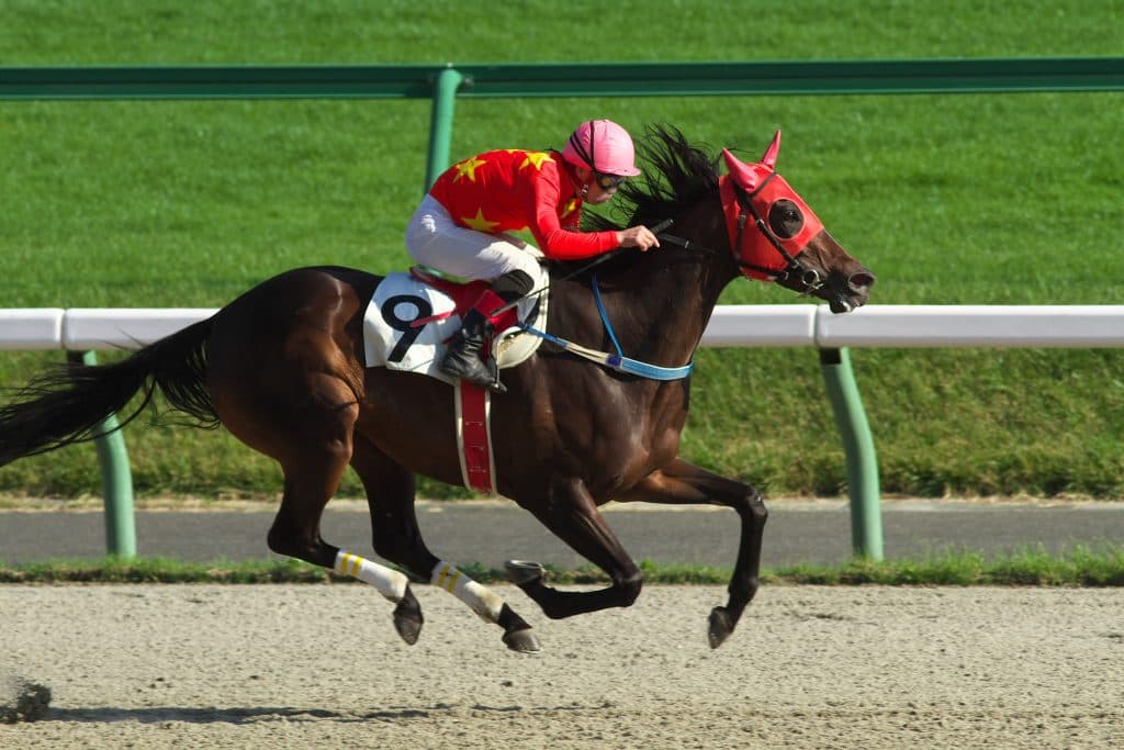 生粋の競馬ファン必携グリーンチャンネル