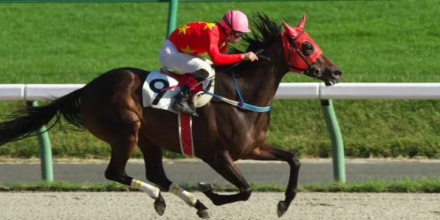 生粋の競馬ファン必携グリーンチャンネル