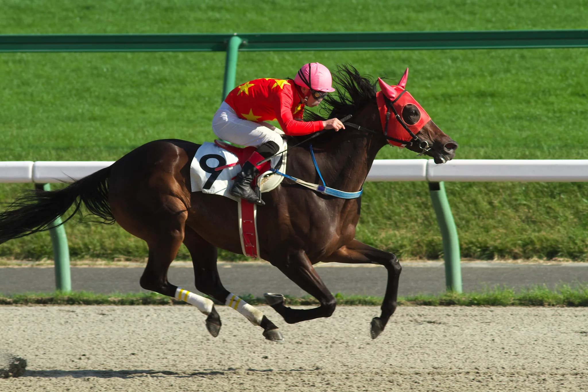 生粋の競馬ファン必携グリーンチャンネル