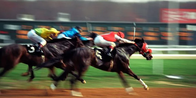 【オークス予想2016】本命2頭に侮れない2頭も加え大混戦ゴール前となりそう