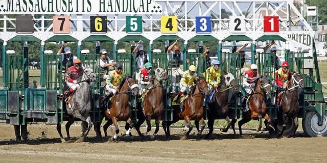 【日本ダービー2016出走馬】イモータル得意の外枠を活かせるか！