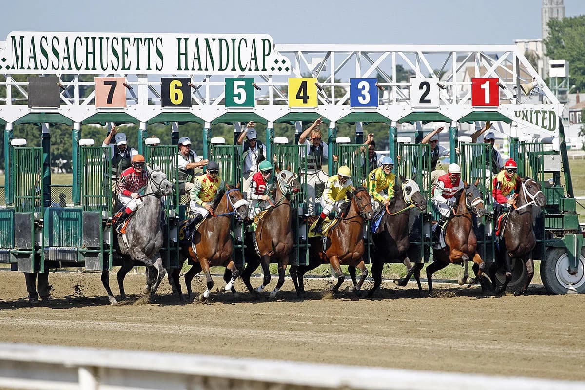 【日本ダービー2016出走馬】イモータル得意の外枠を活かせるか！