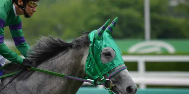 出会いは2歳。オルフェーヴルとホエールキャプチャに産駒誕生