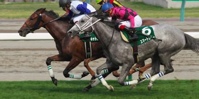 【ヴィクトリアマイル予想2016】桜花賞馬も伏兵扱いになるハイペース必至のヴィクトリアマイル