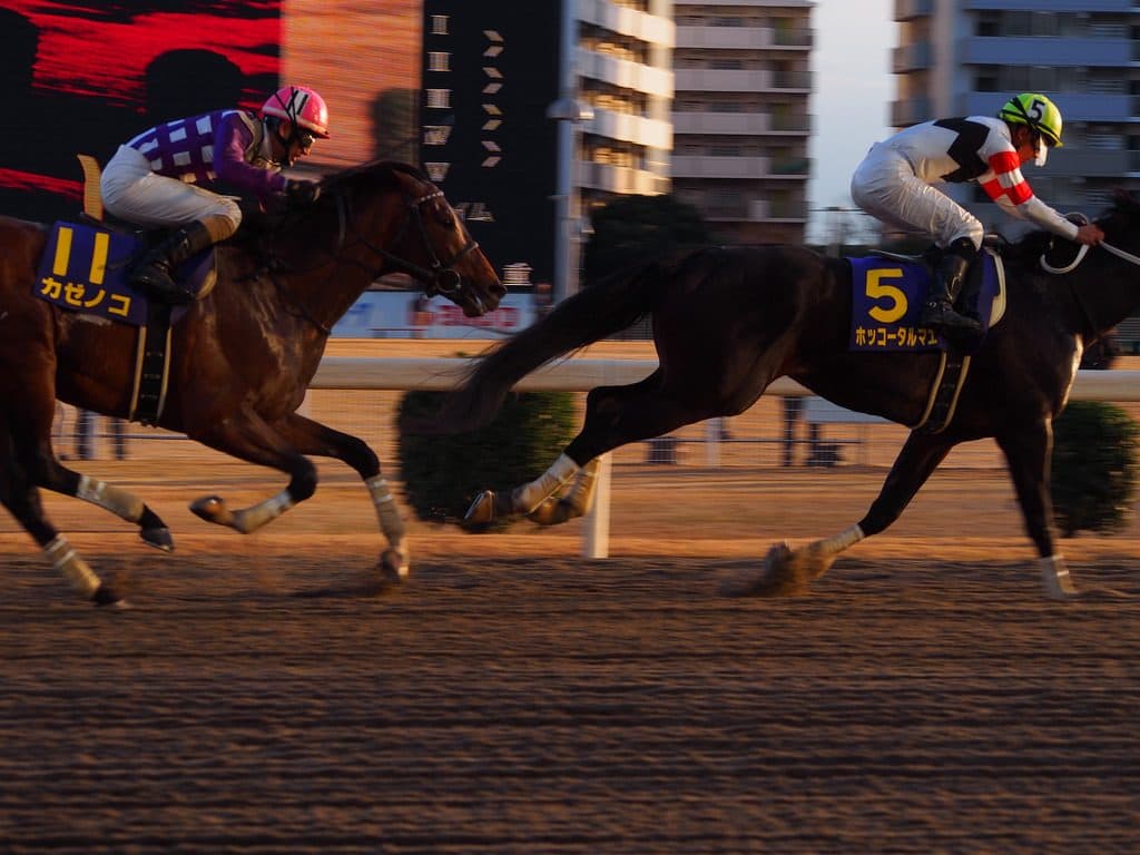 【川崎マイラーズ予想2016】ブルーチッパー逃げきれるか？